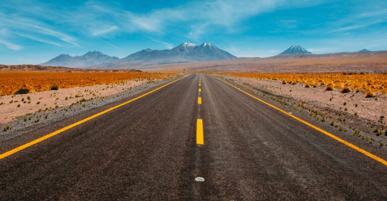 wsl-program-blaze-the-trail